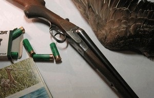 Extinderea permisului pentru arme de vânătoare