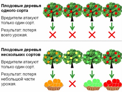 Siguranța alimentară la fața locului