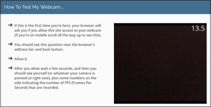 Verificarea webcam-urilor online