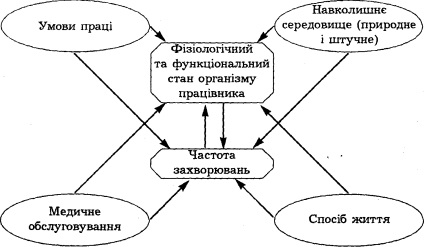 Radiația, impactul acesteia asupra omului - ecologie