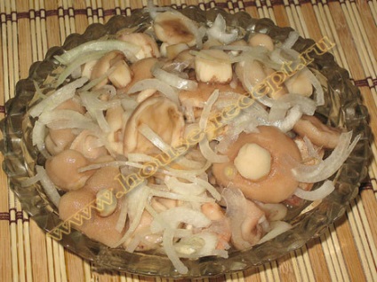 Reteta pentru ciupercile conservate