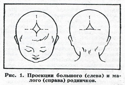 Родничок новонародженого розміри, коли заростає, де знаходиться