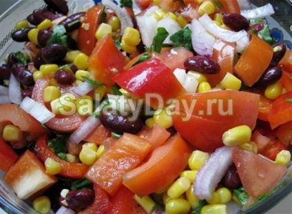 Salată cu fasole roșie conservată - o rețetă delicioasă cu fotografii și videoclipuri
