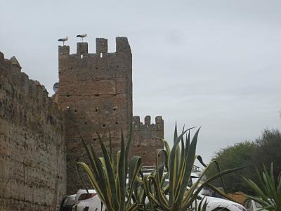 Self-excursie în Maroc