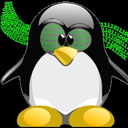 Construirea kernel-ului linux este o abordare modernă (echipa independentă)