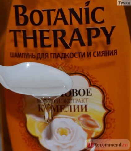 Șampon garnier botanic terapie ulei de argan și extract de camellia - 