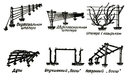 Tapiserie pentru struguri