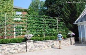 A kertben készült falikárpiták hat ötlet a kertjéhez