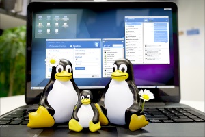 Töltsd le a teamviewer for linux-ot