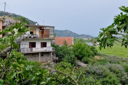 Lacul Skadar