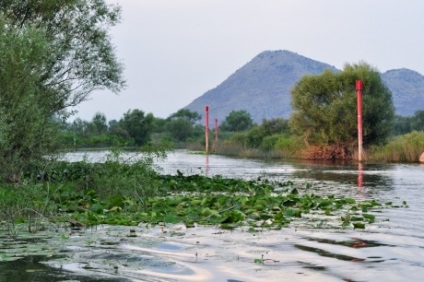 Lacul Skadar