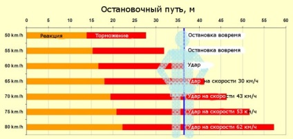 Viteza și siguranța vehiculelor (sergey Davydov)