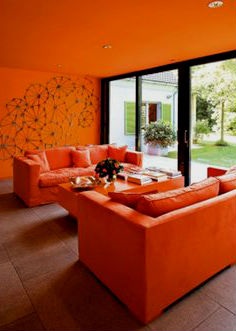 Culoarea portocalie portocalie a sufrageriei - bucuria portocalie
