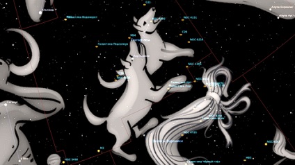 Constellation Hounds Dogs