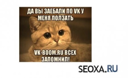 Spam vkontakte (manual)