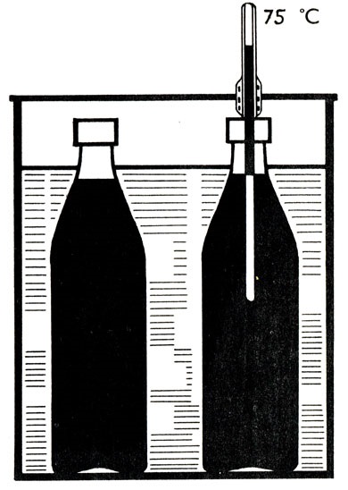 Sterilizarea sucului de fructe 1979 balashtik I