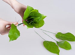 Buchet de nunta de la clasa maestru Leaf si Roses