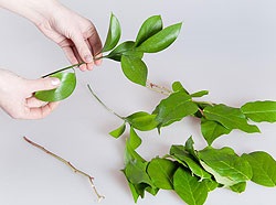 Buchet de nunta de la clasa maestru Leaf si Roses