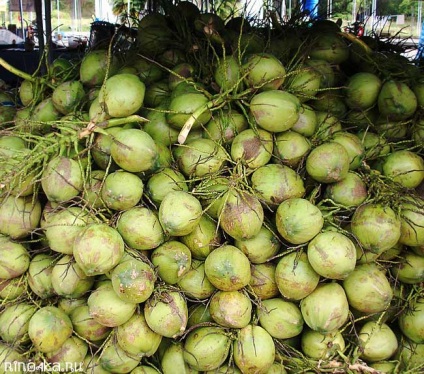 Fructe thailandeze - durian, mangosteen, mango, papaya, guava, rambutan, nucă de cocos, ananas, ghid pentru