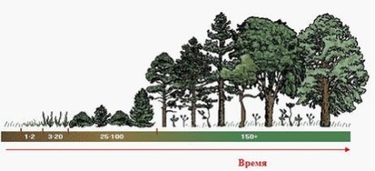 Tema dinamicii ecosistemelor