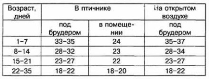 Condiții de temperatură și alte condiții pentru creșterea fazanilor tineri