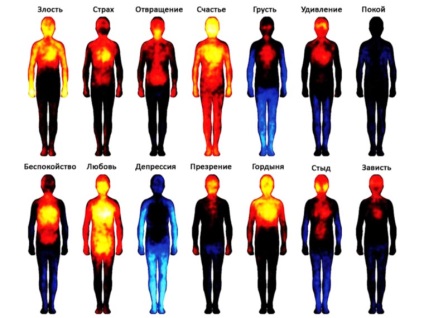 Hartă de căldură a emoțiilor