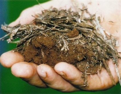 Teste de determinare a calității solului, modul de ajustare a acestuia