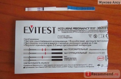 Testele de sarcină evitest - 