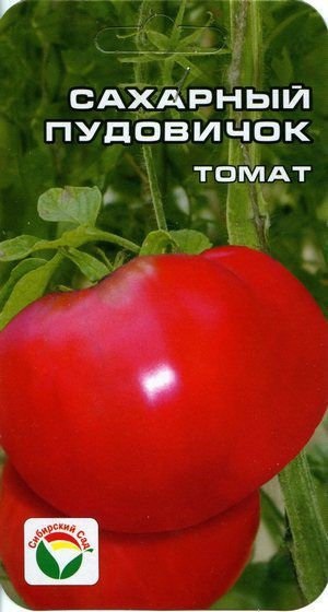 Tomate - descrierea și caracteristicile varietății de zahăr, îngrijirea tomatelor și a fotografiilor