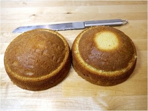 Tort din pui mastic - clasă de master, prăjituri cu rețete, gătit pas cu pas cu fotografie