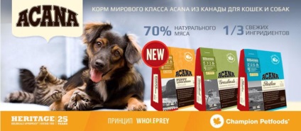 Kutya termékek, online pet shop zoografie
