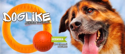 Kutya termékek, online pet shop zoografie