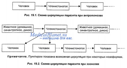 Infecții transmisibile