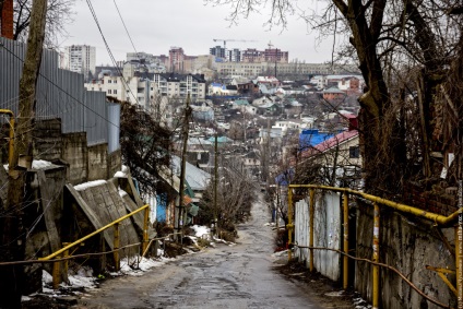 Trei motive pentru care radayev ar trebui să plece