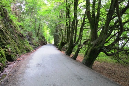 Trollhaugen, troldhaugen, deal de trolii