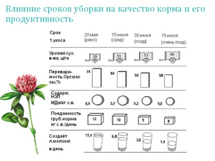 Îmbunătățirea rezervei de furaje este cheia pentru creșterea productivității animalelor