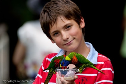 Grădina zoologică unică din Singapore