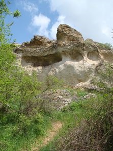 Manor rozental, parfumat, carabi, turism verde, pescuit, fermă de iepure, pui, odihnă-te