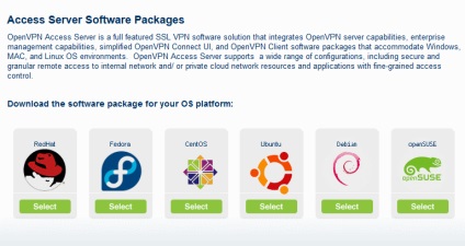 Instalarea serverului openvpn-access