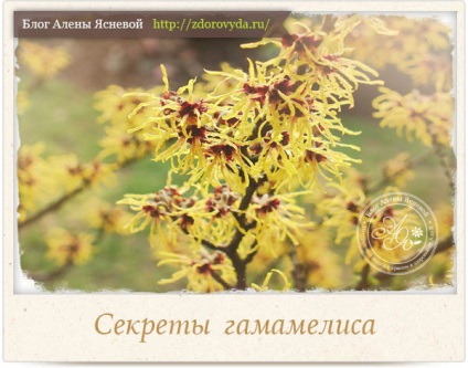 Îngrijirea pielii (îngrijire) Îngrijirea pielii