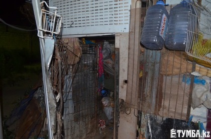 În Aktau, locuitorii uneia din case s-au răzvrătit împotriva abundenței câinilor de la un vecin