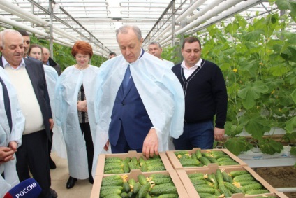 Valery Radaev a găsit 