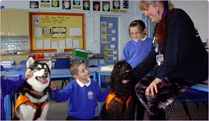 Az angol iskolában egy asszisztens tanár vett egy kutyát