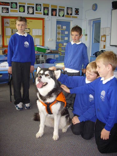 În școala engleză, un profesor asistent a luat un câine