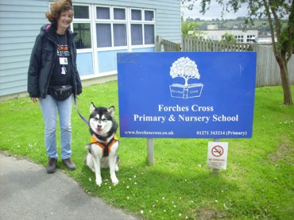 Az angol iskolában egy asszisztens tanár vett egy kutyát