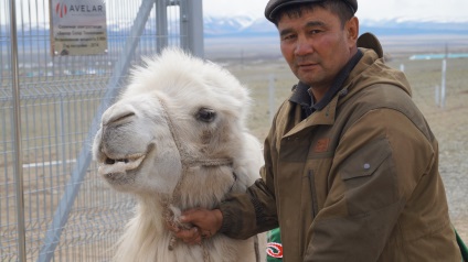 Tevék permafrost Miért Altai 