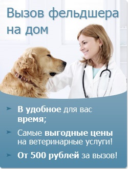 Clinica veterinară din Mitino 