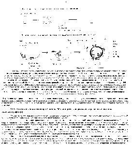 Transportul vezicular - ghidul chimistului 21