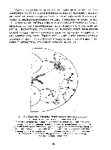 Transportul vezicular - ghidul chimistului 21