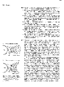 Transportul vezicular - ghidul chimistului 21